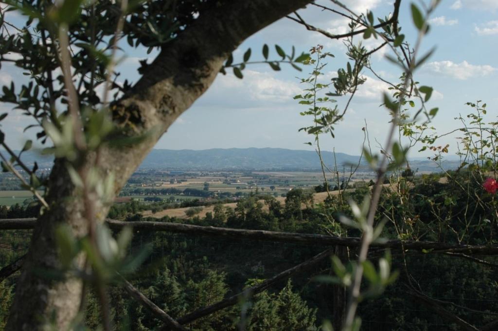 Castel D'Arno Guest House Perugia Ngoại thất bức ảnh